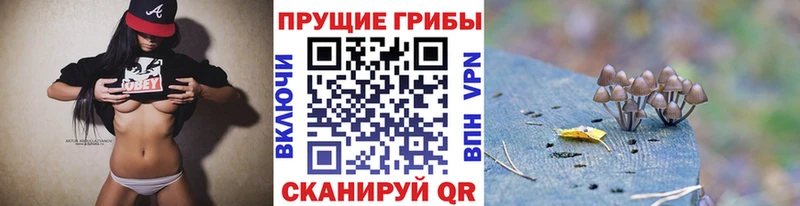 купить   Тюмень  Галлюциногенные грибы MAGIC MUSHROOMS 